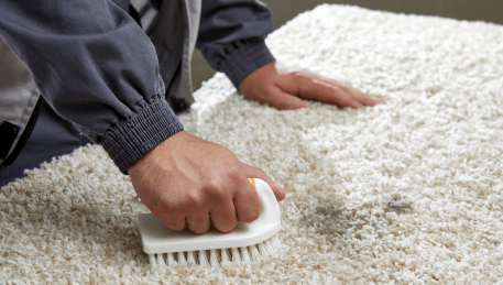 Professional Rug Cleaning Cambrian Hill